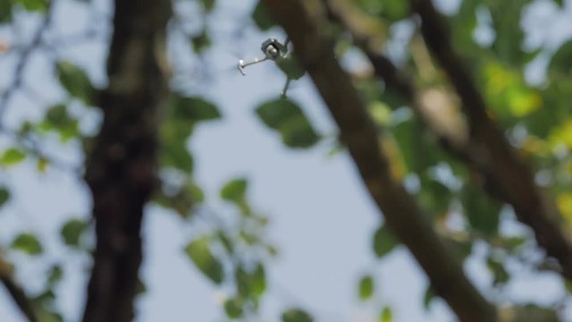 Drone behind the trees flies and shoots video quadrocopter aerial photography equipment takes off into the sky backstage making off