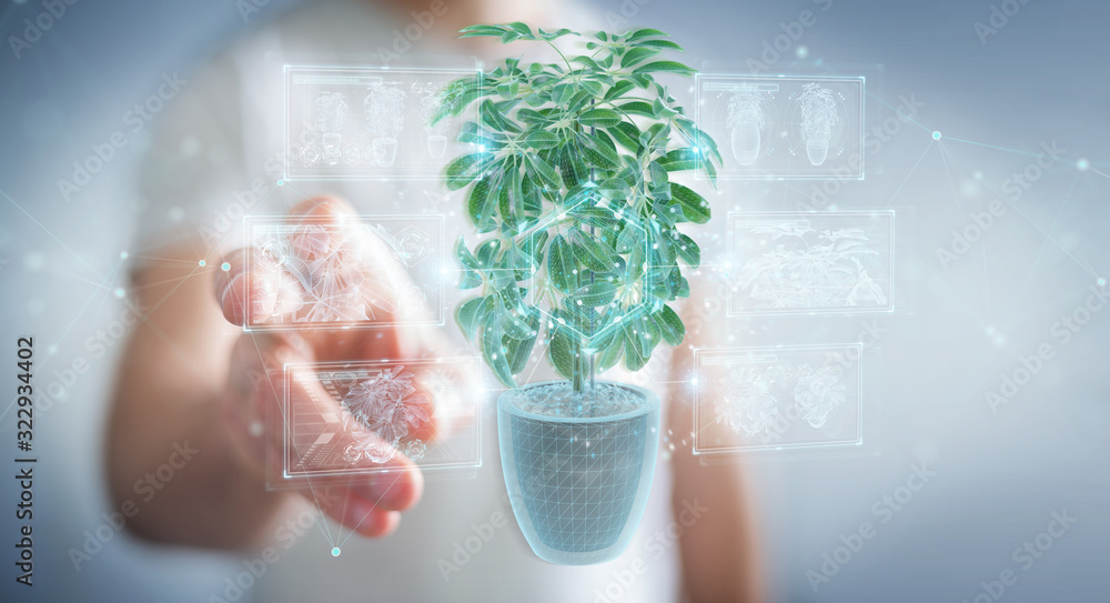 Leinwandbilder man holding and touching holographic projection of a plant with digital analysis 3d rendering