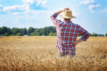 Naklejka na ściany i meble Farmer in straw hat stands at harvest ready wheat field