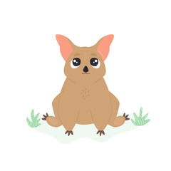 A Cute Australian possum. Animal character design.