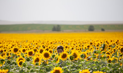 boy in sunflowers summer teen yellow green field