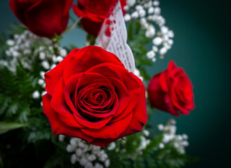 Top view of a bouquet of bright red roses