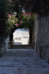 View of the descending of stone steps with beautiful bougainvillea flowers in Israeli town Haifa in...