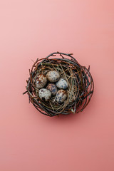 Eggs in a nest on a pink background. Quail eggs, catholic and orthodox holiday. Free space for text.