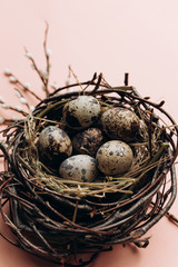Easter eggs in a nest with pussy-willow twigs on a pink background. Quail eggs, catholic and orthodox holiday