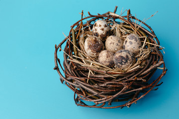 Festive eggs in a nest on a blue background. Quail eggs, Catholic and Orthodox Easter holiday. Free space for text.