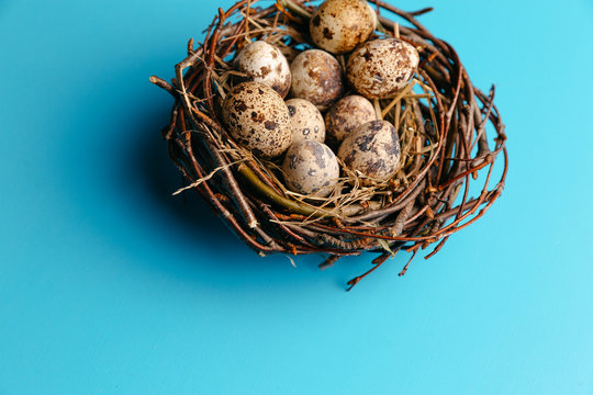 Festive eggs in a nest on a blue background. Quail eggs, Catholic and Orthodox Easter holiday. Free space for text.