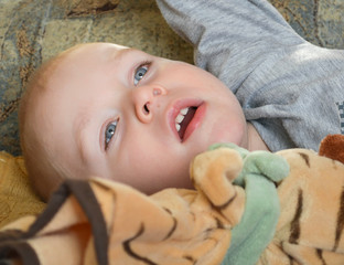 Portrait of a little boy