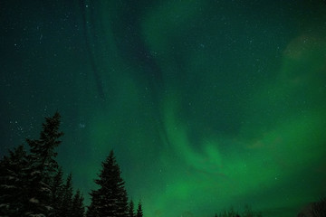 Fototapeta na wymiar Night winter forest photography with northern light sky.