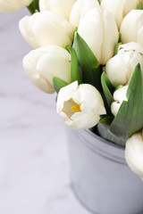 large bouquet of white tulips  close-up