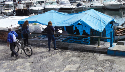 same people buy fish from fisherman in naples