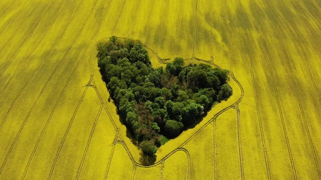 Zagajnik miłości