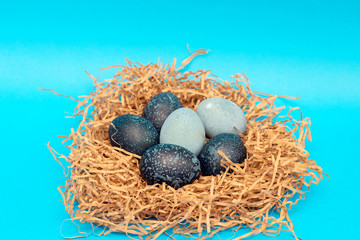 Naklejka na ściany i meble A bunch of beautiful unusual Easter eggs lies in a nest against a blue background