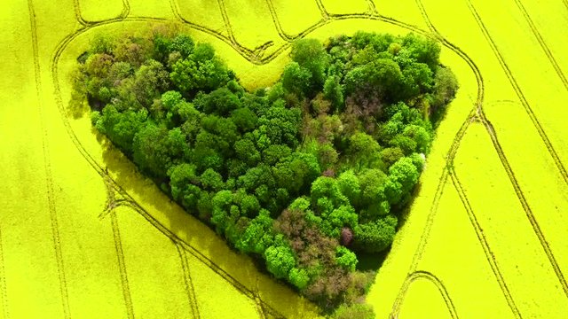 The grove of love 4