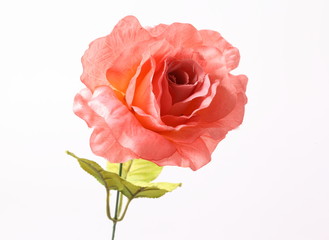 Orange colorful textile rose closeup