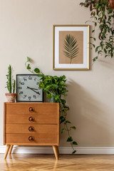 Vintage interior design of living room with design retro wooden commode, plants, cacti, black clock...