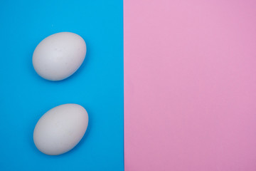 Two Easter holiday flat lay with white egg on a solid bright blue and pink pastel and vibrant background with copy space.