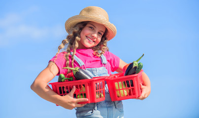 Village rustic style. Vegetables market. Sunny day at farm. Selling homegrown food concept. Natural vitamin nutrition. Organic vegetables. Girl cute child farming. Gathering vegetables in basket