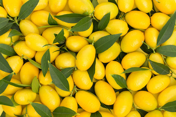 Little Lemons