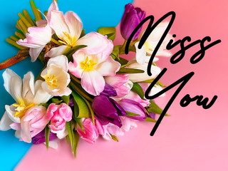 tulip colorful flowers  festive bouquet floral  valentines day or women day  on pink background...