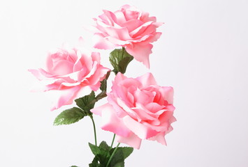 Artificial pink roses on white background