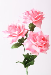 Artificial pink roses on white background