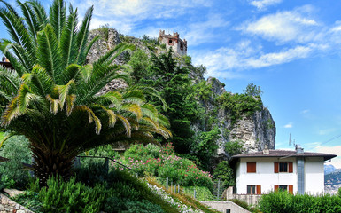 Fototapeta na wymiar Malcesine, Italia - Garden near Lake Garda, green palm tree, bushes and flowers, a white building, in the background a rock on which you can see the castle tower, a blue sky with clouds.