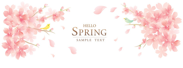 spring cherry blossom　background　モダンで上品な花のベクター背景　