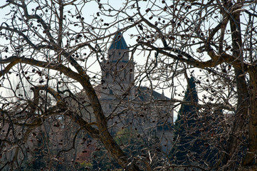 Granada Spain, view of church through bare tree branches in early springtime