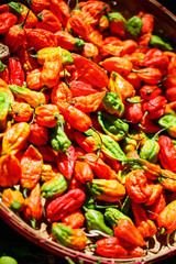 Chili peppers at market