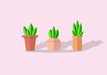 Little plants