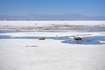Salar de Uyuni surface with some water salt and rocks