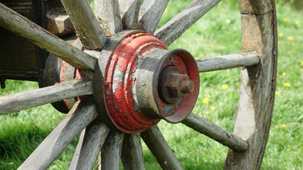 Red wheel hub