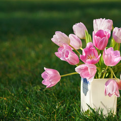 rosafarbene Tulpen in der Vase