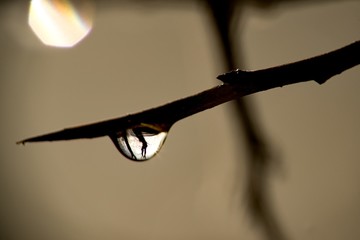 pring warming weather melting snow, water drop