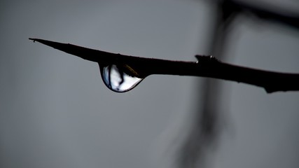 pring warming weather melting snow, water drop