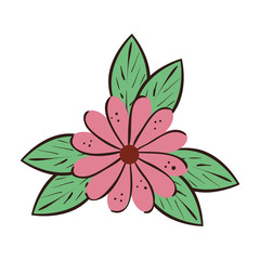 cute flower natural with leafs isolated icon vector illustration design