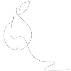 Pear fruit on white background vector illustration