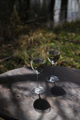 White wine in glasses on round wooden background – date on spring picnic at sunny day