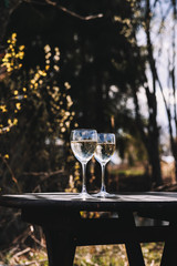 Picnic on nature at spring sunny day – white wine in glasses on wooden round table