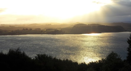 Sun shines bright and golden and reflection in the water. Silhouette of the forest.