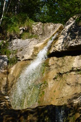 Waterfall in the forest