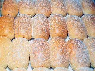 Tasty dough bread coated with icing sugar place on white paper over plastic tray