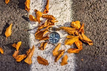 Conceptual autumn landscape with a metallic compass with fallen leaves, Sfanta Ana, Romania