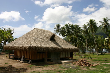 Fototapeta na wymiar maison tahitienne