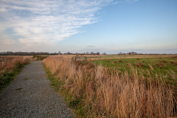 Country path through agricultural farm land in rural Norfolk UK