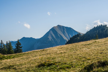 Fototapeta premium Beautiful swiss alps mountains. Alpine meadows.