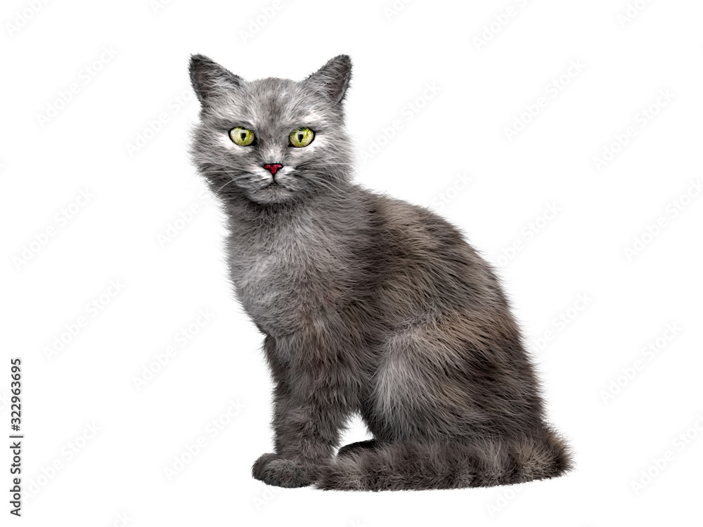 Wall mural gray cat sits and looks at the camera 3d render on a white background no shadow