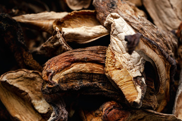 Dried Porcini Mushrooms Macro