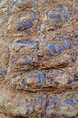 Color rock close up. Natural forms in stone structure. Background, texture. - 322964217